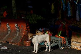 Daily Life In Mexico City