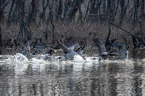 Wildlife At The Oxbow Nature Conservancy