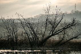 Wildlife At The Oxbow Nature Conservancy