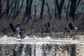 Wildlife At The Oxbow Nature Conservancy