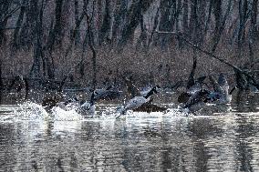 Wildlife At The Oxbow Nature Conservancy