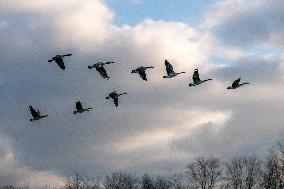 Wildlife At The Oxbow Nature Conservancy