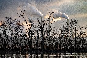 Wildlife At The Oxbow Nature Conservancy