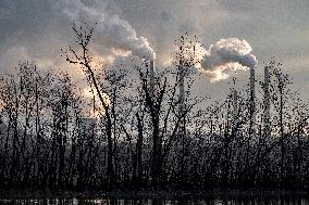 Wildlife At The Oxbow Nature Conservancy