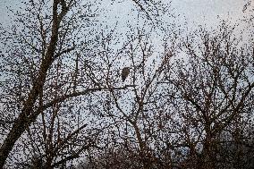 Wildlife At The Oxbow Nature Conservancy