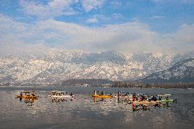 Sunny Weather In Kashmir After Snowfall