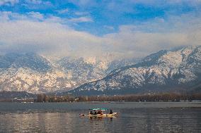 Sunny Weather In Kashmir After Snowfall