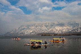 Sunny Weather In Kashmir After Snowfall