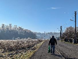 Walkers In The Upper Bavarian Town Of Gauting