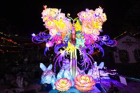 Festive Lanterns in Nanjing