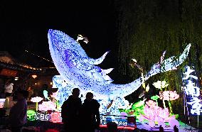 Festive Lanterns in Nanjing