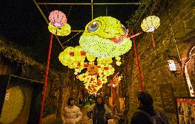 Festive Lanterns in Nanjing