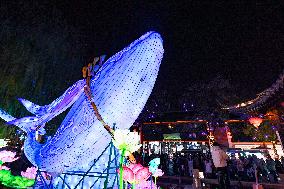 Festive Lanterns in Nanjing