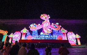 Festive Lanterns in Nanjing