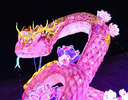 Festive Lanterns in Nanjing