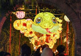 Festive Lanterns in Nanjing