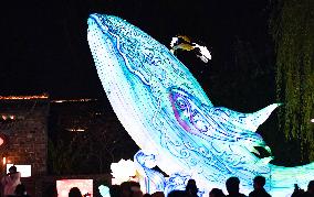 Festive Lanterns in Nanjing