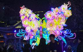 Festive Lanterns in Nanjing