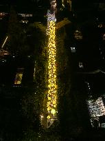 Festive Lanterns in Nanjing