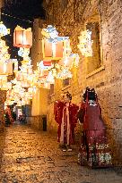 Festive Lanterns in Nanjing