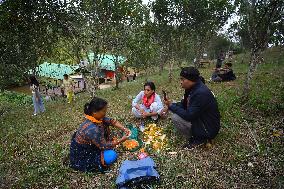 Orange Festival In Assam