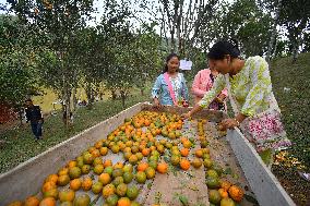 Orange Festival In Assam