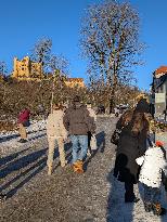 Hohenschwangau Castle​ In Winter