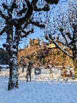 Hohenschwangau Castle​ In Winter