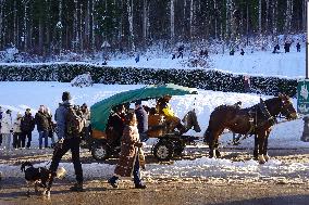 Tourists On The Way To Neuschwanstein Castle