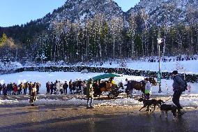 Tourists On The Way To Neuschwanstein Castle