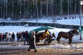 Tourists On The Way To Neuschwanstein Castle