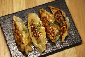 Chinese Pan-fried Beef Dumplings