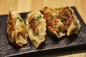 Chinese Pan-fried Beef Dumplings