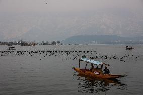 Daily Life In Srinagar