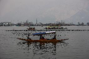 Daily Life In Srinagar