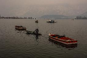 Daily Life In Srinagar