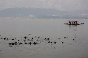 Daily Life In Srinagar