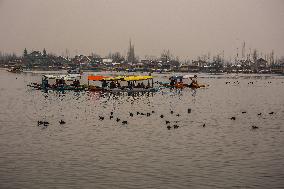 Daily Life In Srinagar