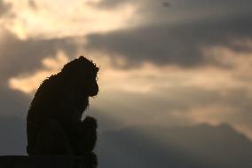 The Last Sunset 2024 Seen From Nepal.