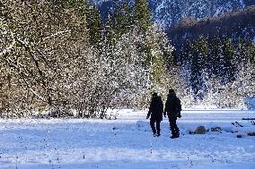 ​Winter Walk Around The Bavarian Lake Schwansee