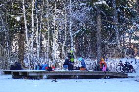 ​Winter Walk Around The Bavarian Lake Schwansee