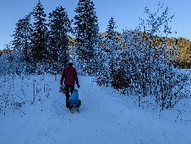 ​Winter Walk Around The Bavarian Lake Schwansee