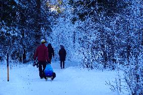 ​Winter Walk Around The Bavarian Lake Schwansee