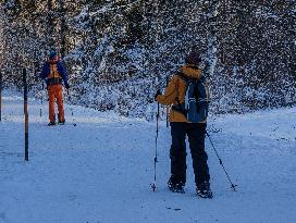 ​Winter Walk Around The Bavarian Lake Schwansee