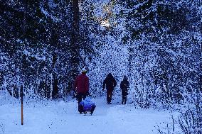 ​Winter Walk Around The Bavarian Lake Schwansee