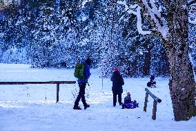 ​Winter Walk Around The Bavarian Lake Schwansee