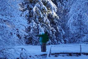 ​Winter Walk Around The Bavarian Lake Schwansee