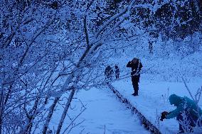 ​Winter Walk Around The Bavarian Lake Schwansee