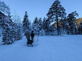 ​Winter Walk Around The Bavarian Lake Schwansee