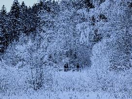 ​Winter Walk Around The Bavarian Lake Schwansee